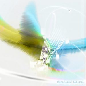 DIGITAL DOWNLOADS